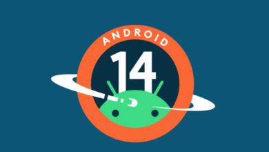 چگونه اندروید ۱۴ را دریافت کنیم
